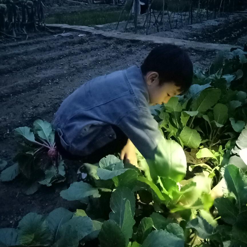 大饼卷皮皮虾❤
