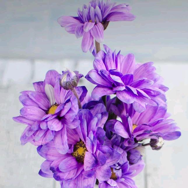 春花秋实