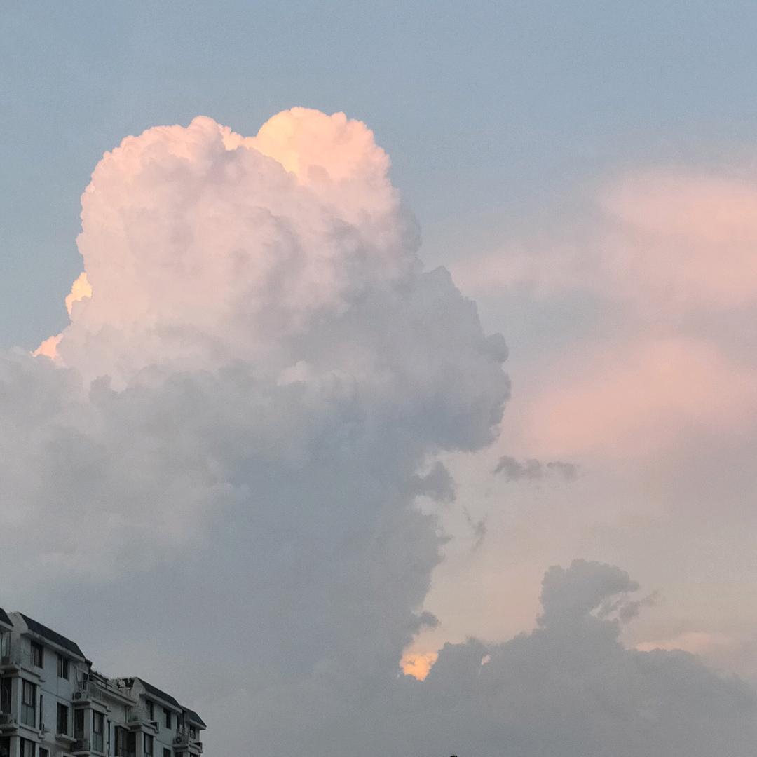是小陈呀