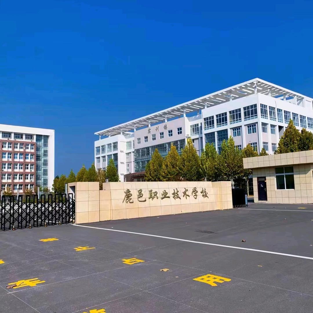 职业教育