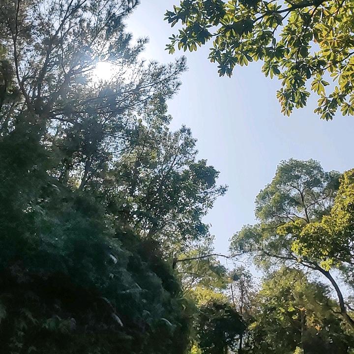 依楼听风雨，淡看江湖路