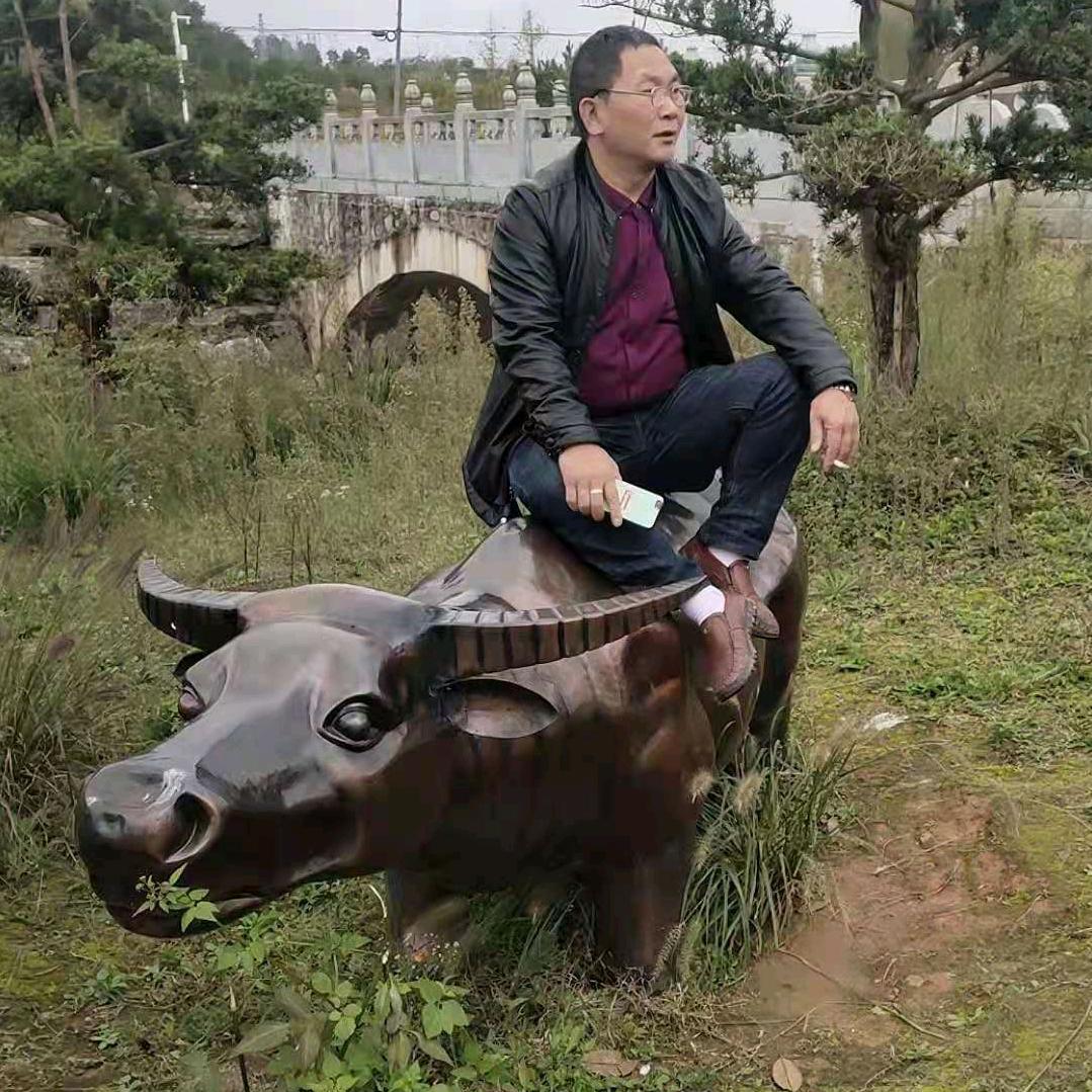 平安吉祥乐队郑学体