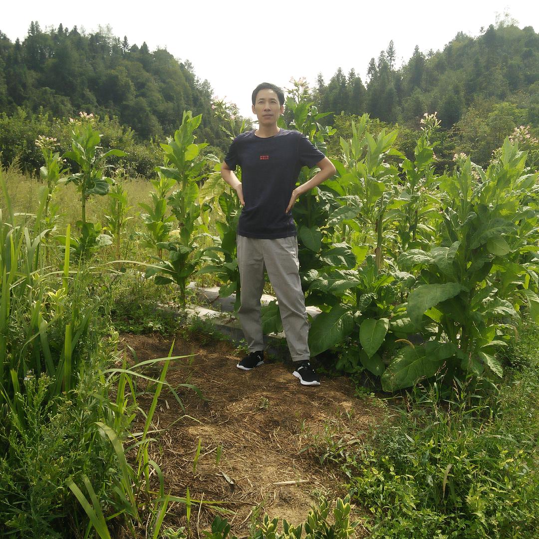 开心常乐