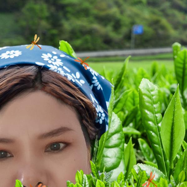 爷很潇洒