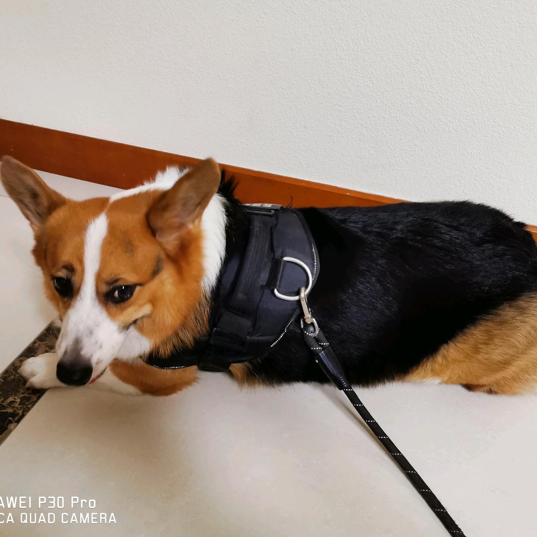 时光灰白了少年头