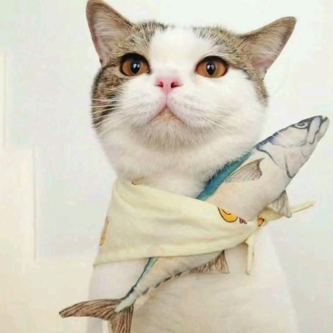 🌈野钓-小钓鱼