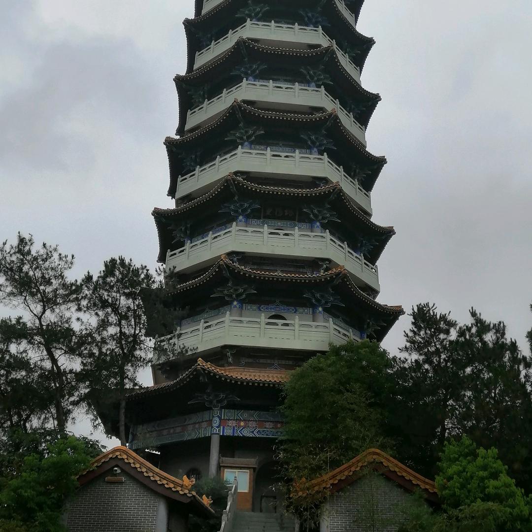 心随我动