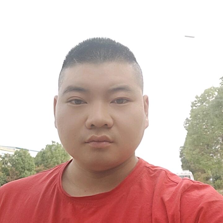 卡车啊龙(浙鄂)