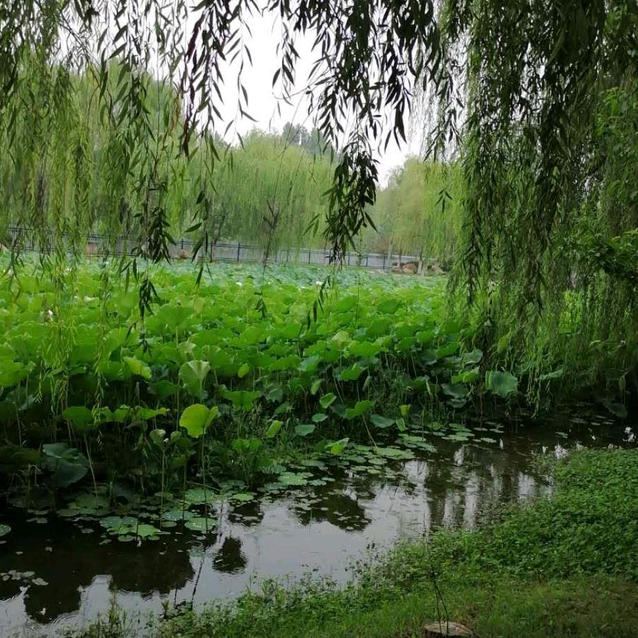 难得糊涂