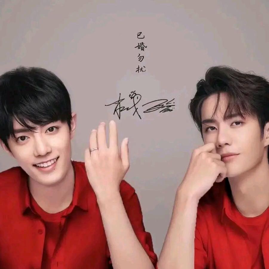 呆兔的小狮子🦁