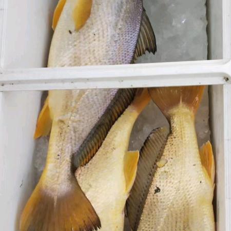 明天？会更好！