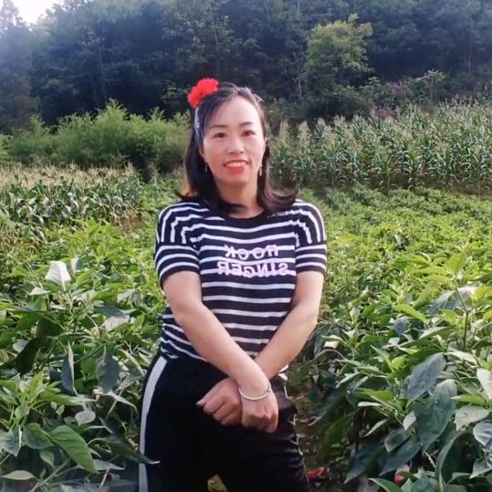 逗婆娘