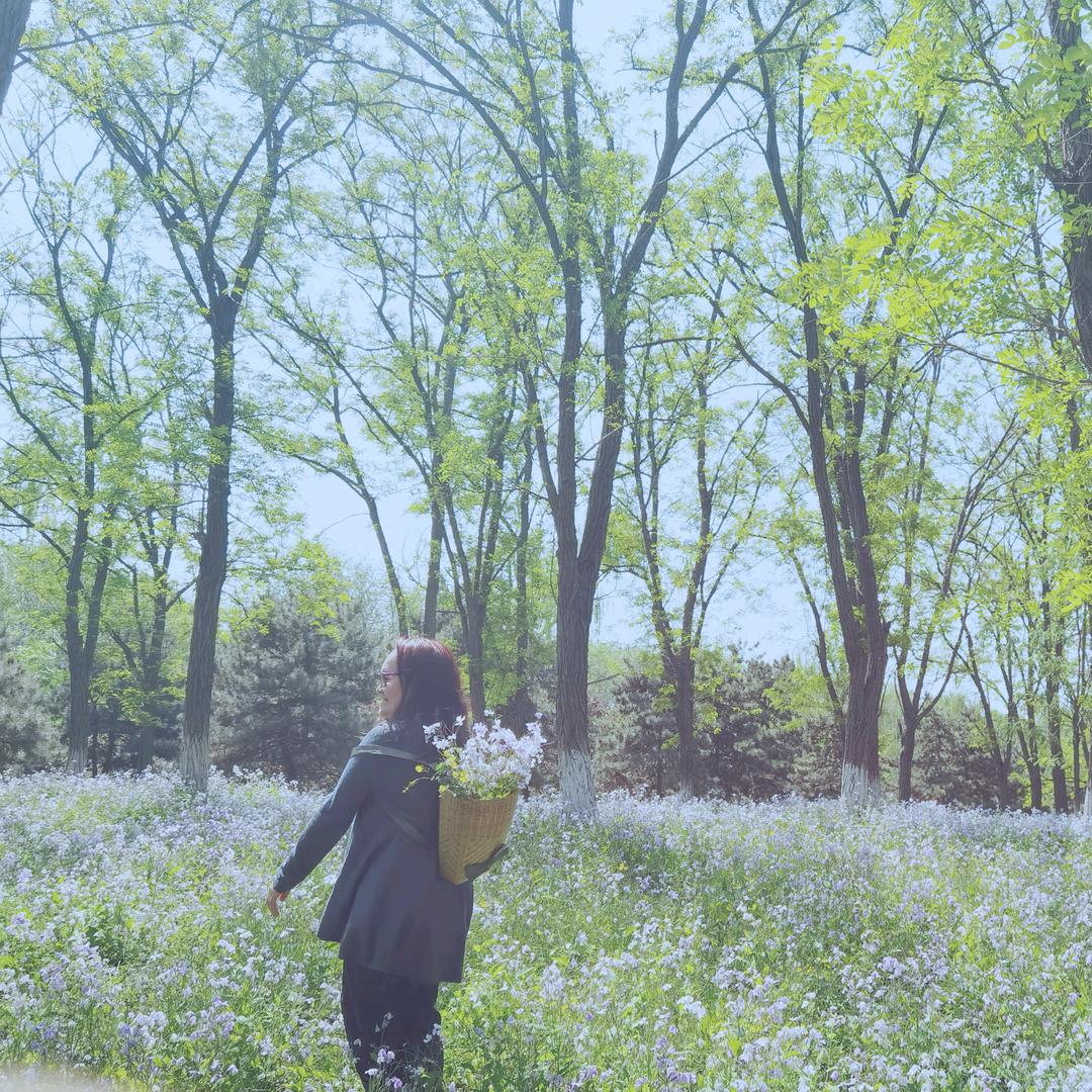 如花🌺