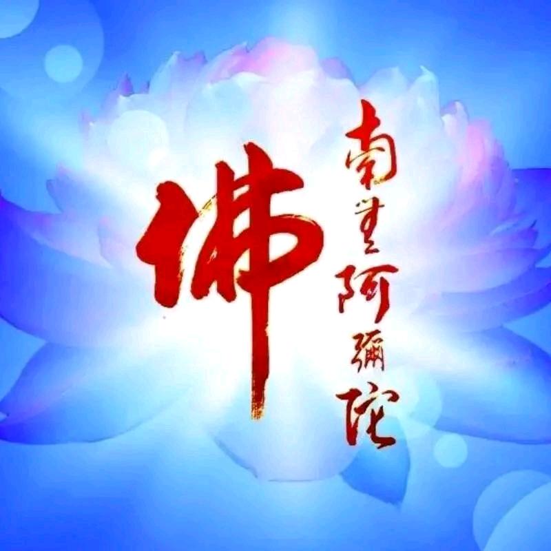 春浩荡