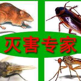 山东洁净 四害培训