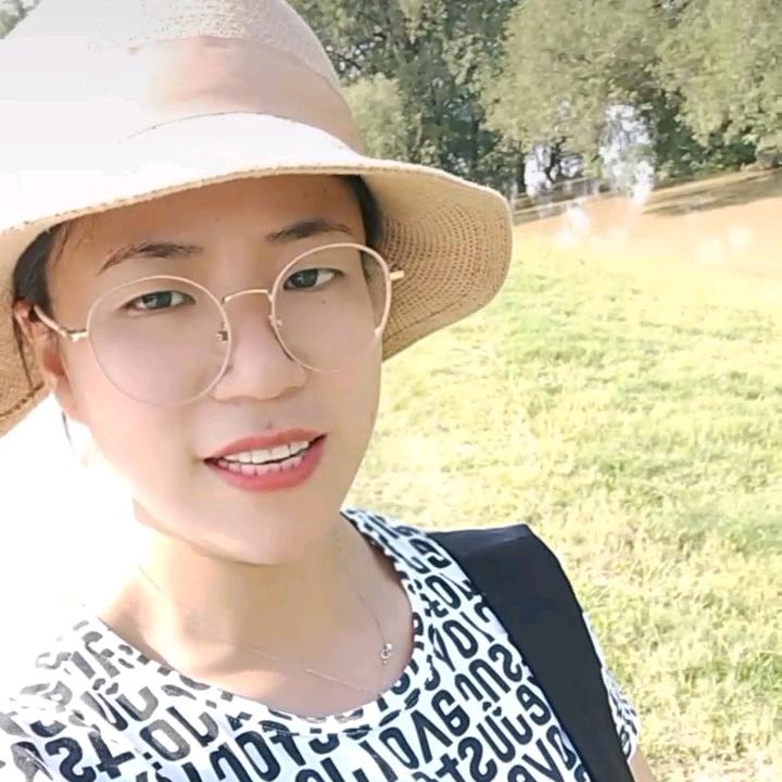 毛毛虫