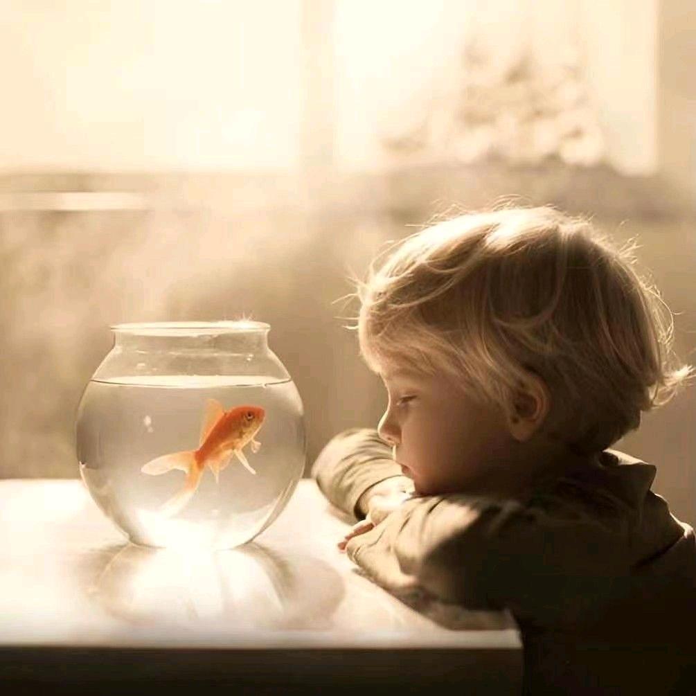 𝓑𝓮𝓵𝓲𝓮𝓿𝓮𝓻