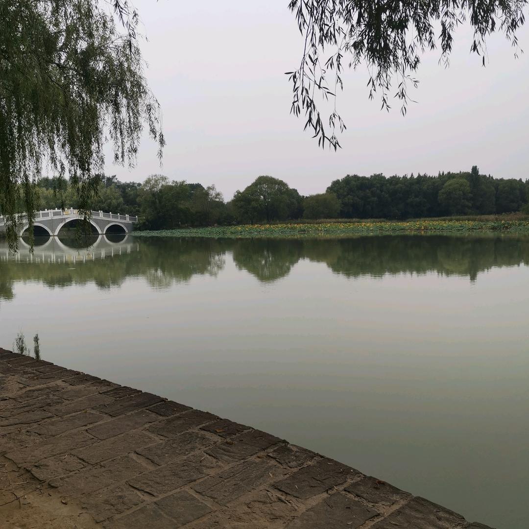 网络空间