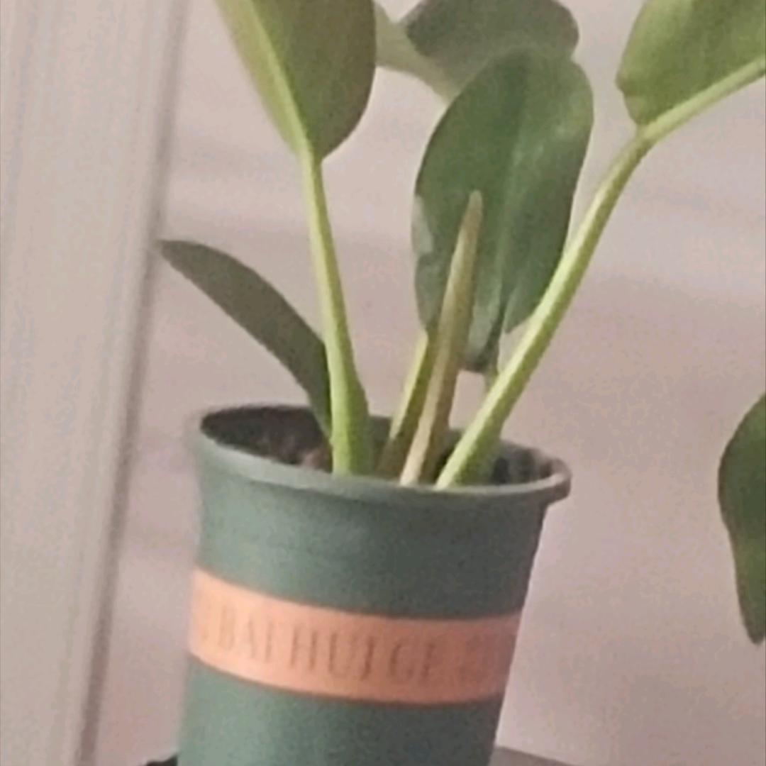 电塔专业架索道