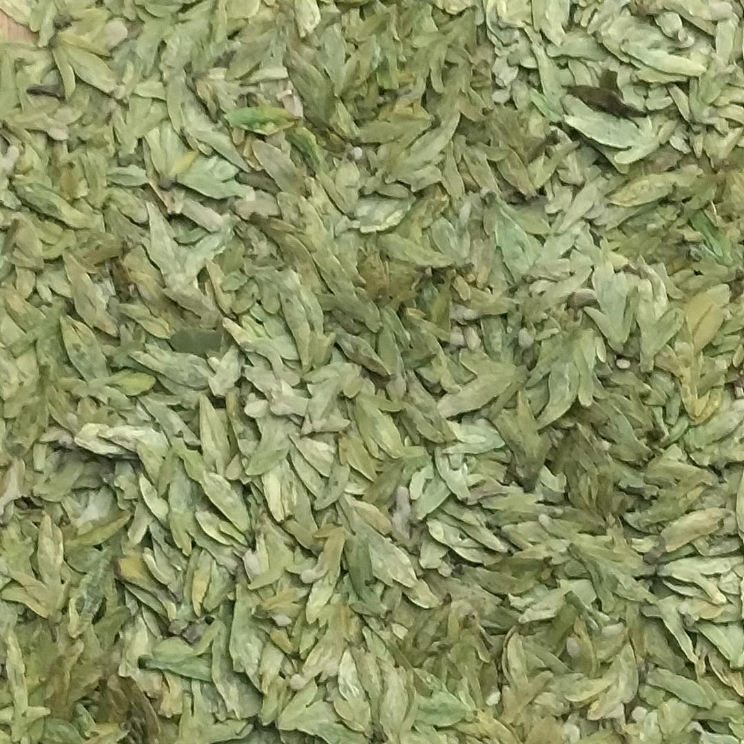 龙井茶制作人