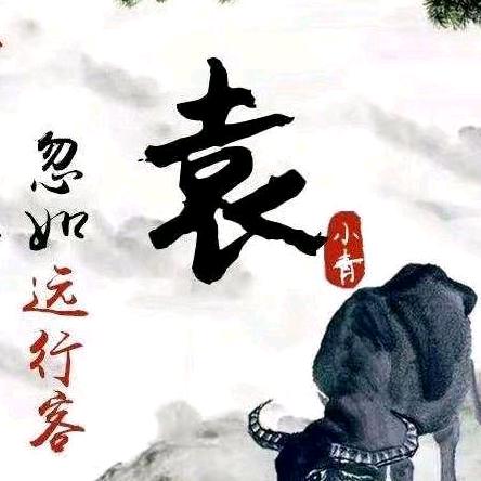 《袁姐》
