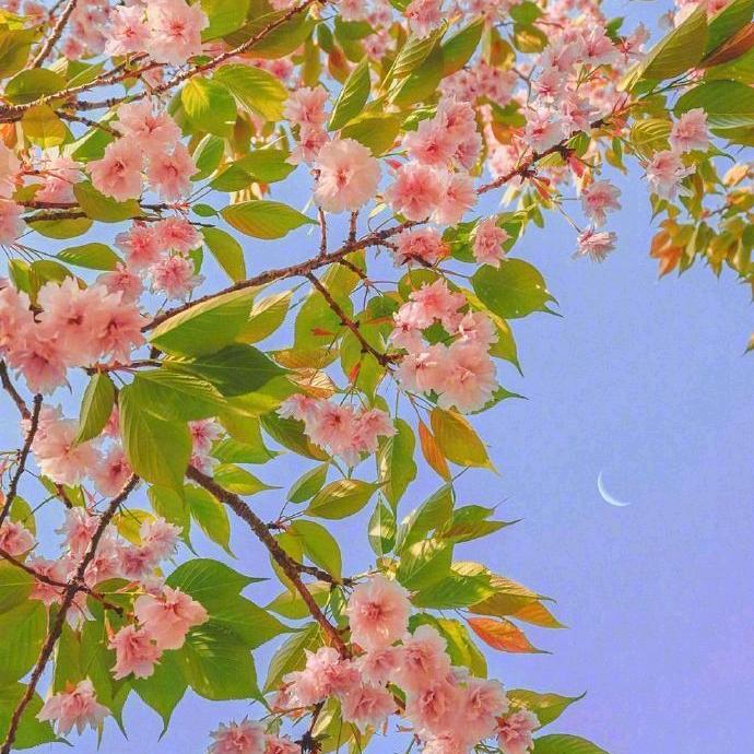 岁月漫长，乘风破浪