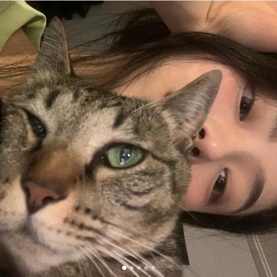 我真不吃榴莲^