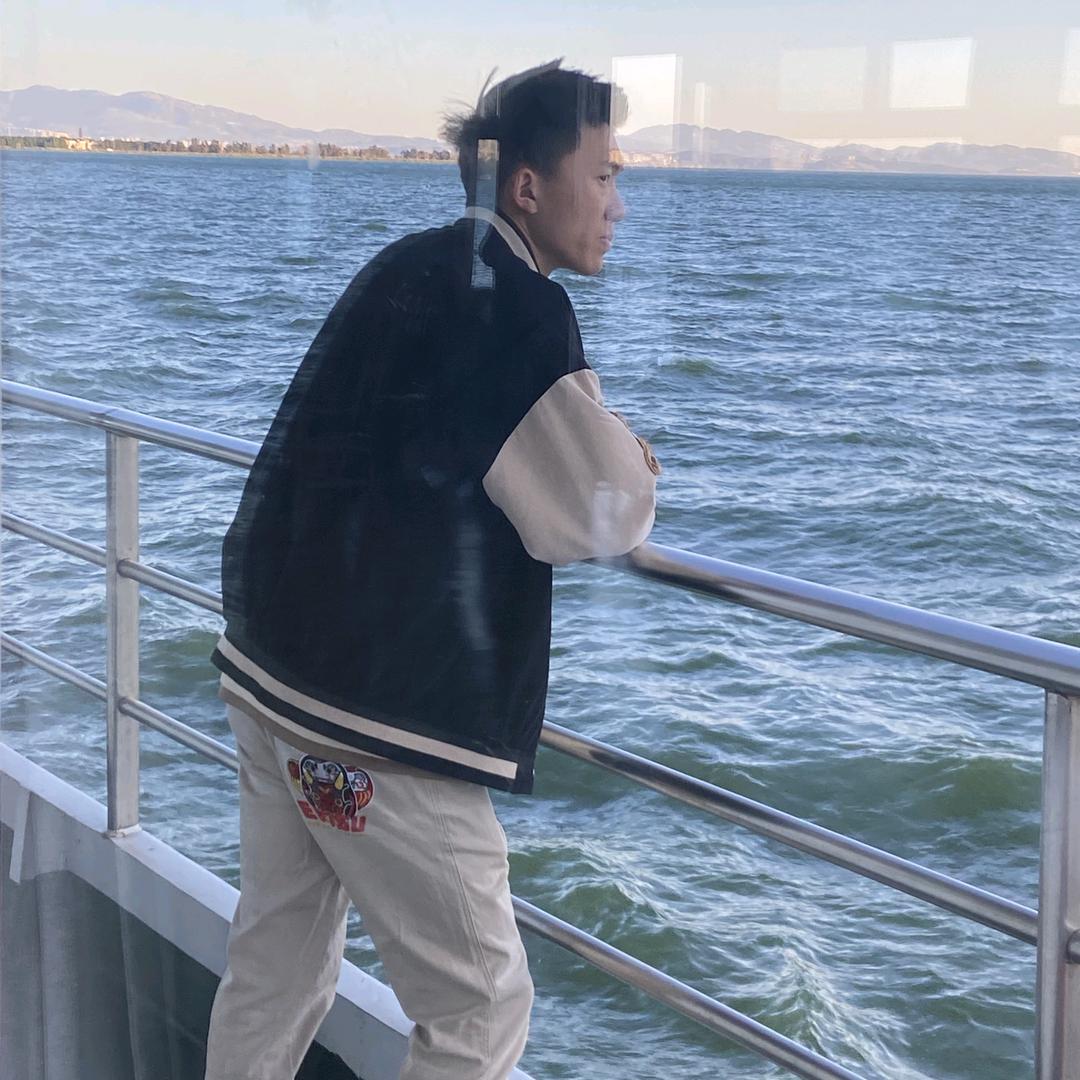 鸿鹄大鸟