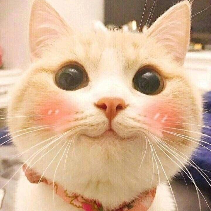 全身上下我嘴最硬