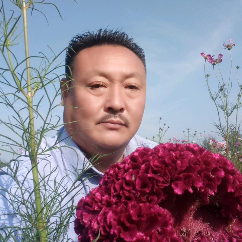 都市牛夫