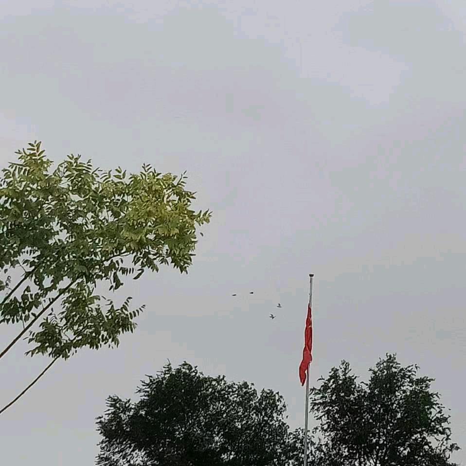 一切都好