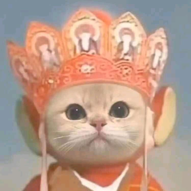 迷惑行为赏鉴