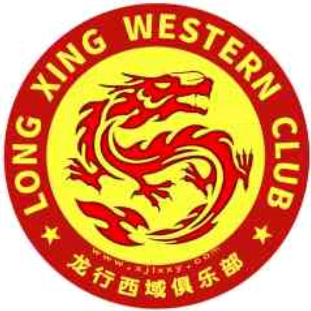 新疆龙行西域旅游