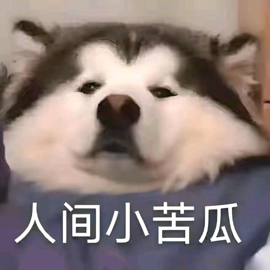 优秀小伙子  狗哥 😊 限流中