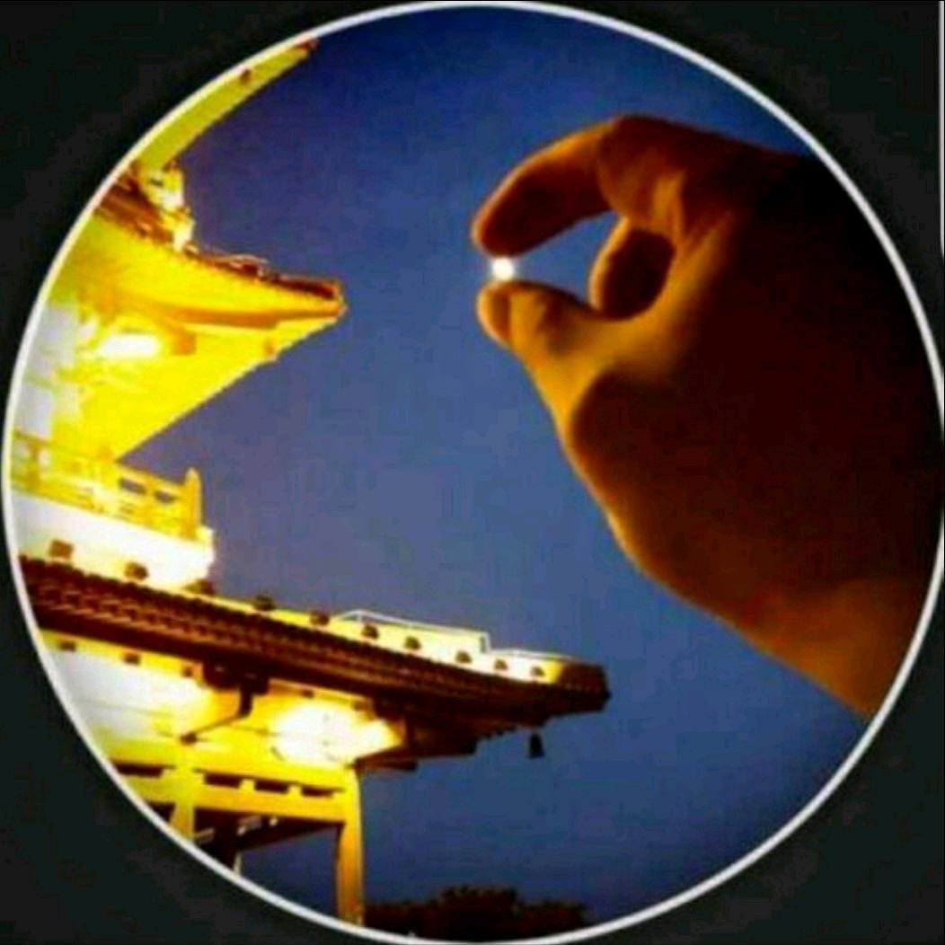 雾隐：【星爷】