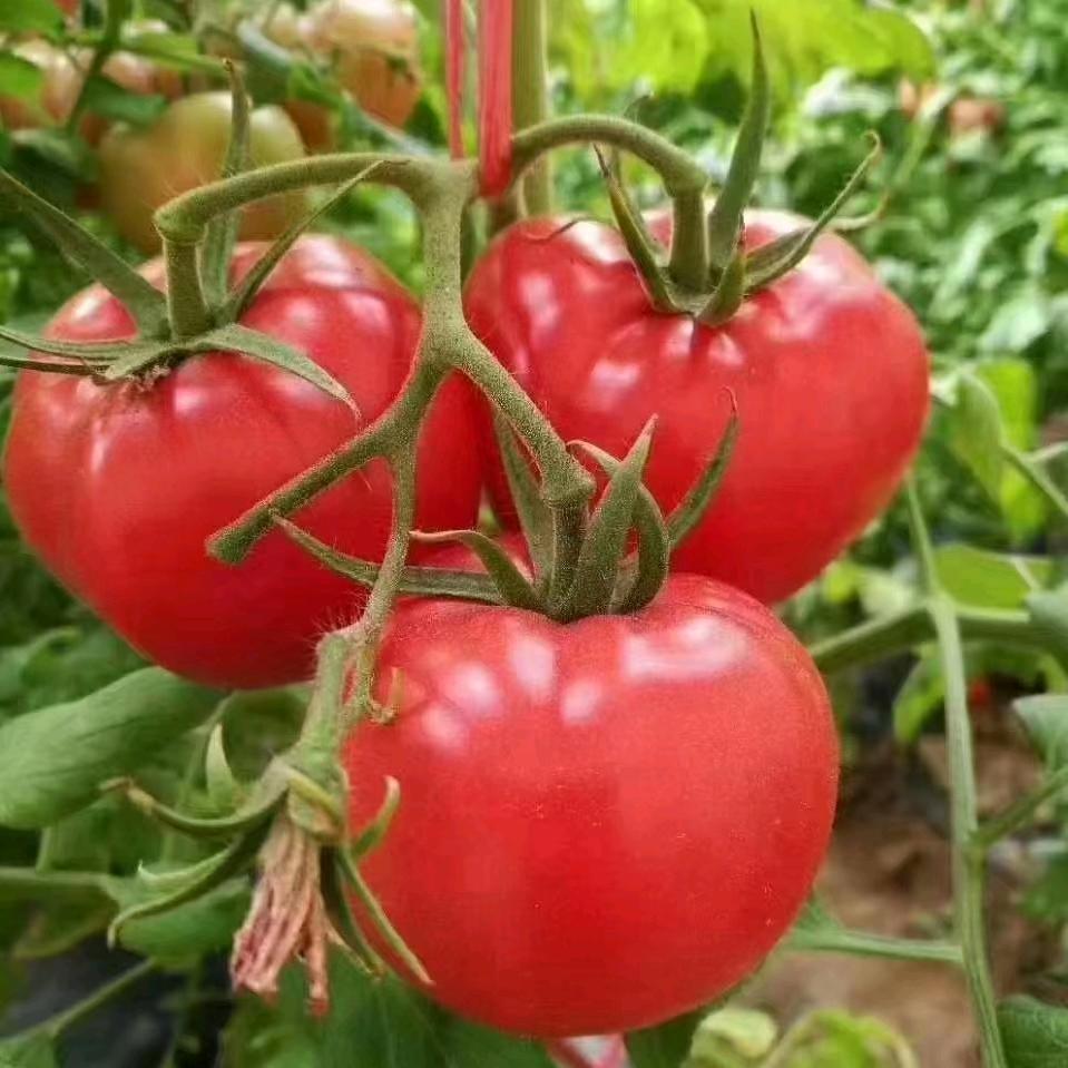 用户3169001930873骆