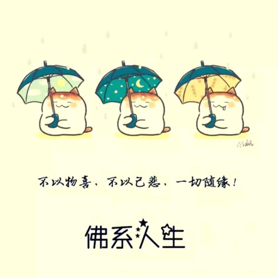 坐着吃瓜
