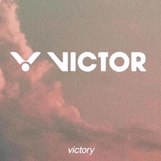 Y方