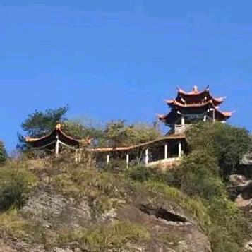 奉新绿霖苗木专业合作社