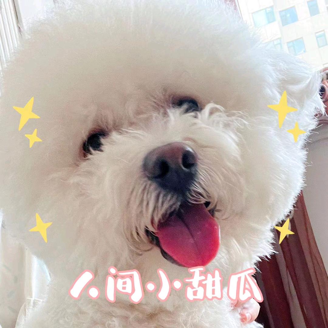 聪妈