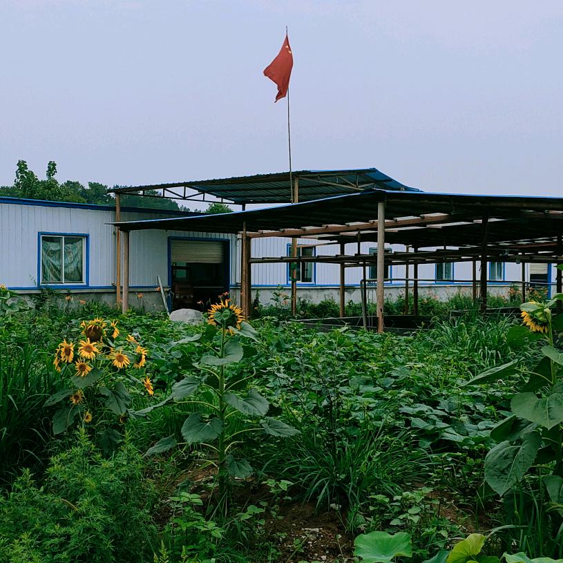 陈权新家庭农场