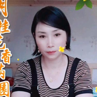 我是朱姐