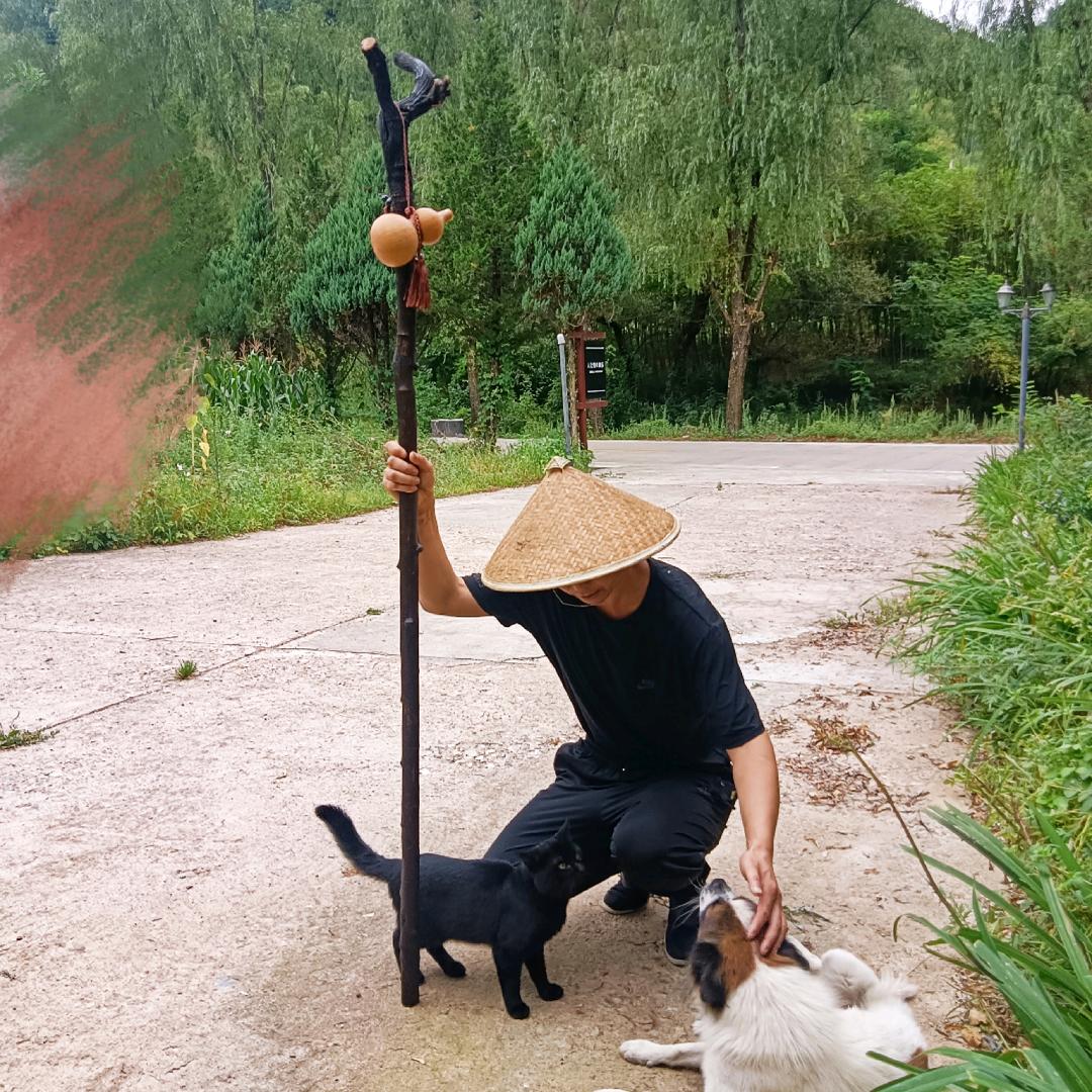 秦岭行者