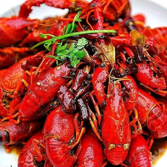 没心没肺的活着✔