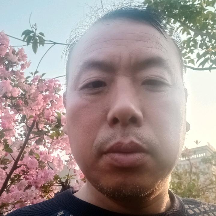 牛羊肉批发