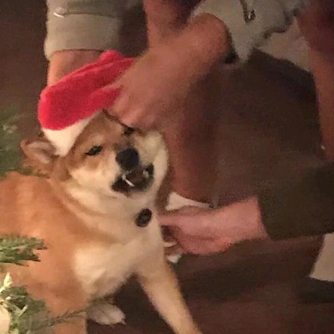 ²⁰⁰⁰