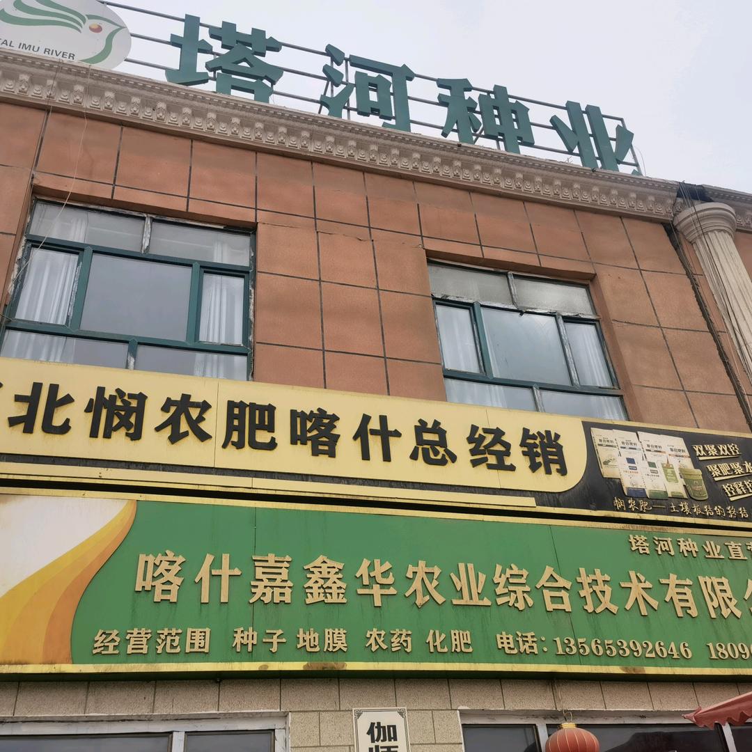 肖三