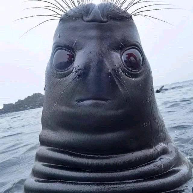 𝑘ℎ𝑎𝑑𝑎