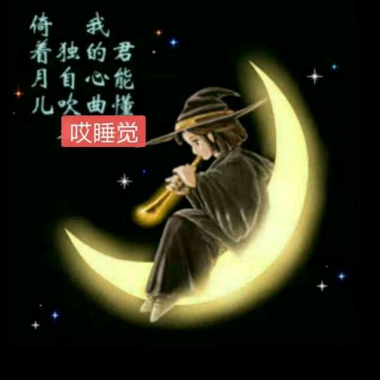 jin zhi yu ye