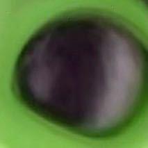 超级无敌噼里啪啦宇宙第一